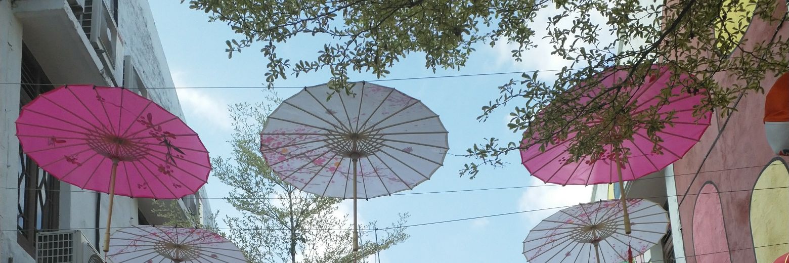 Jasveena Kaur banner