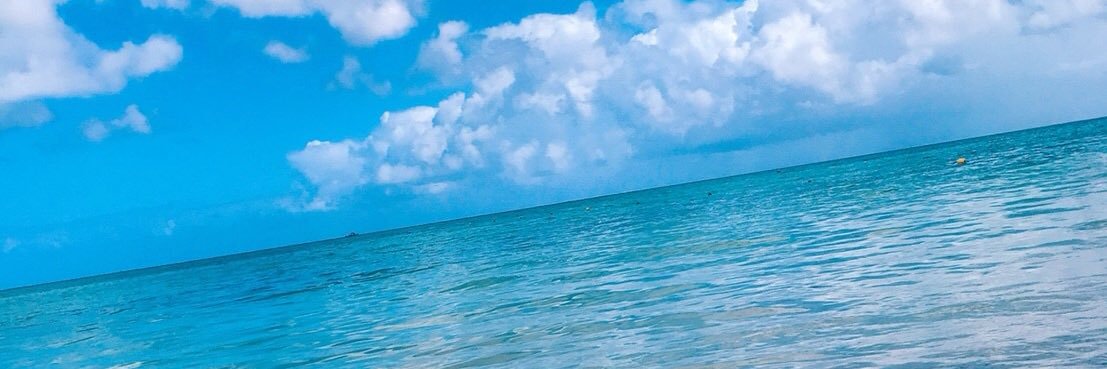 misq_'s profile banner image