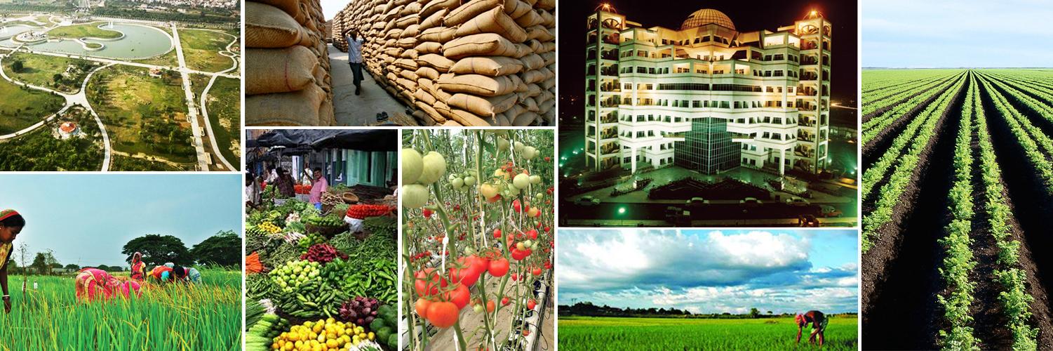 MandiParishad's profile banner image