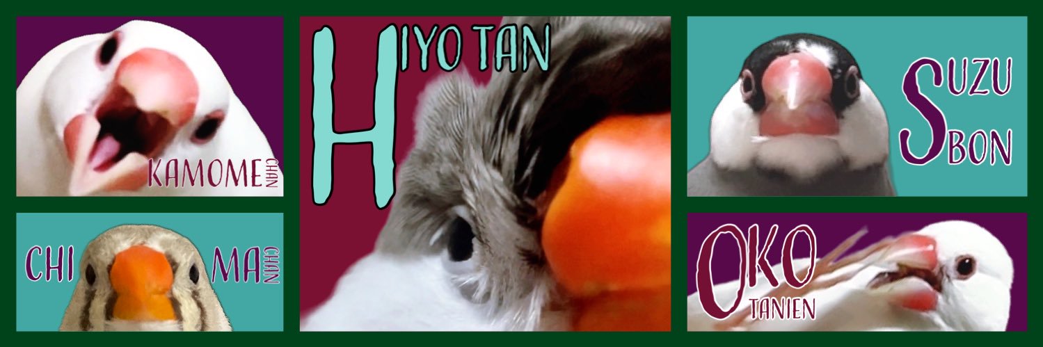 WORI( •ө•,) banner