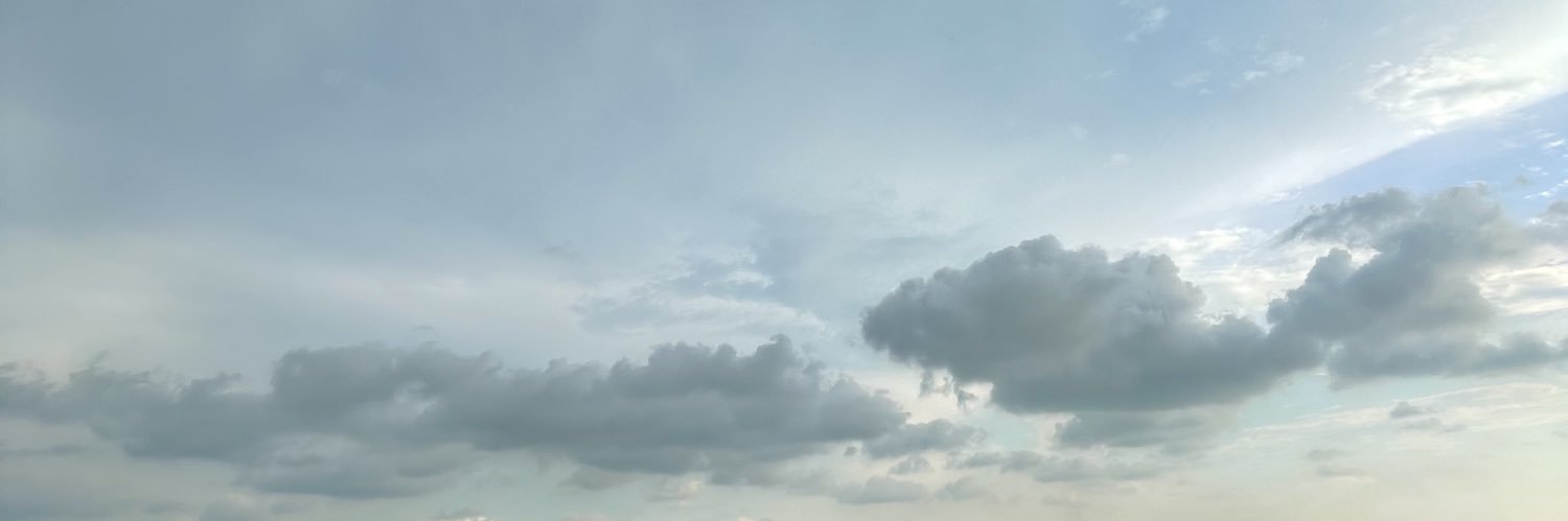 widaaa__'s profile banner image
