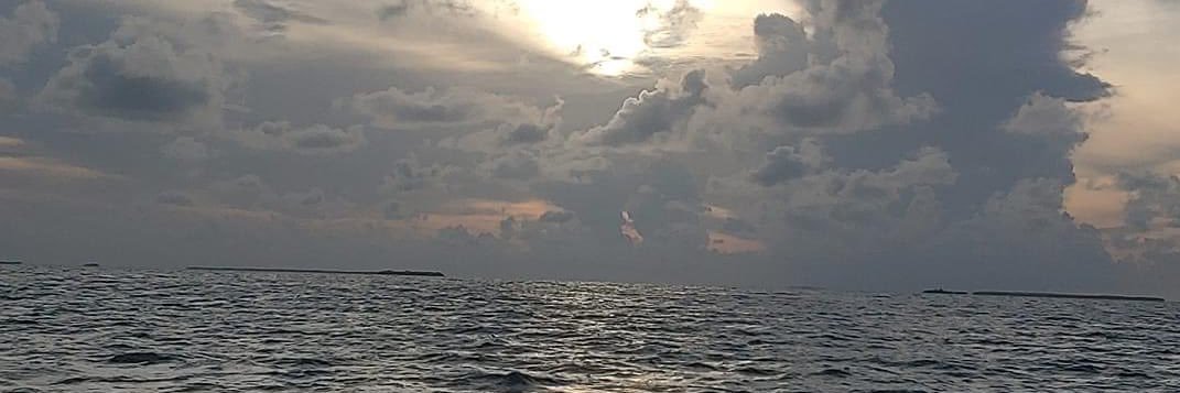 Mihalis Pappas, M.S.Ed.,M.A. banner