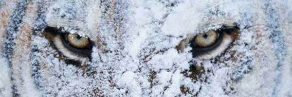 charcoal_jam's profile banner image