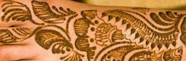 niravravient14's profile banner image