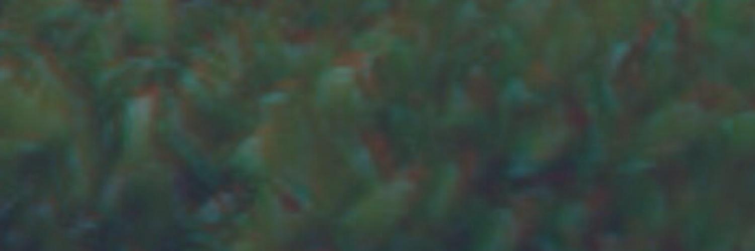 JacSargee's profile banner image