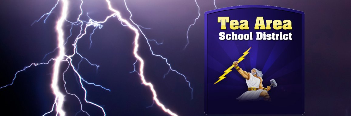 Tea Area High School banner