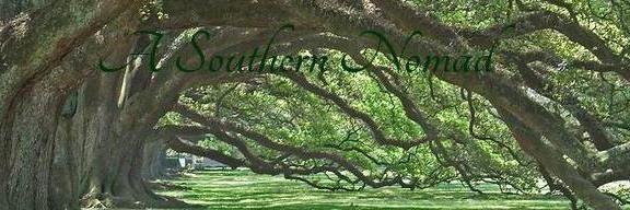 Southern_Nomad's profile banner image