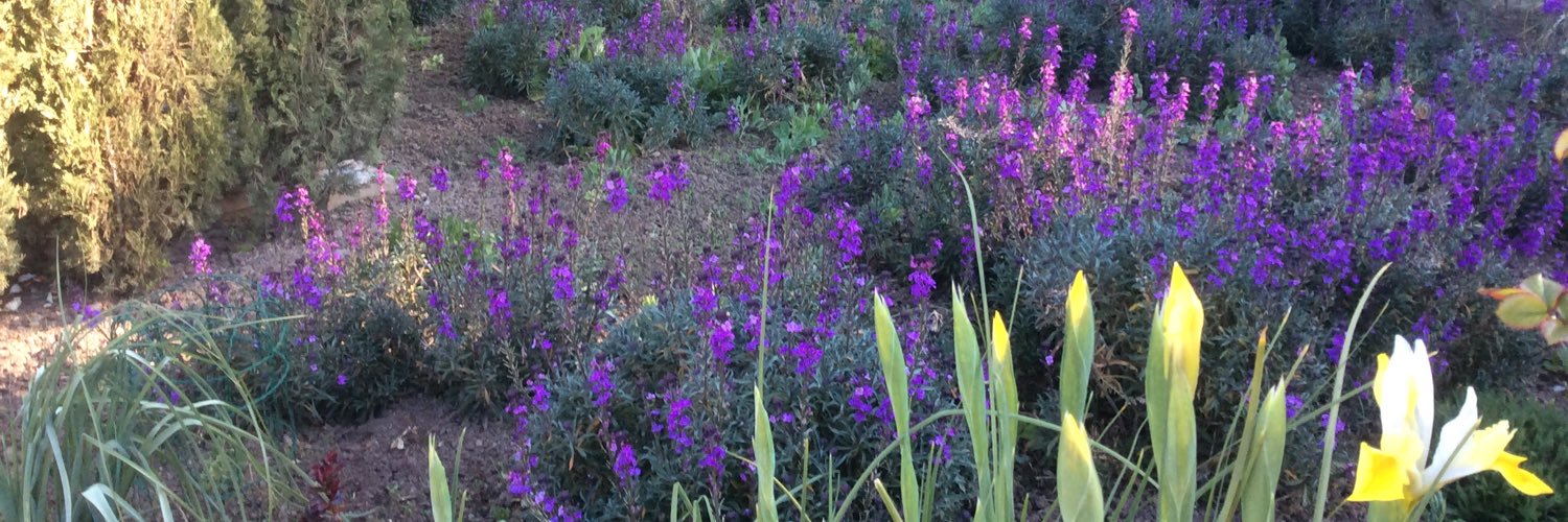 Karen Sheffield banner