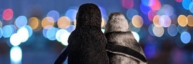 gkhnvural's profile banner image