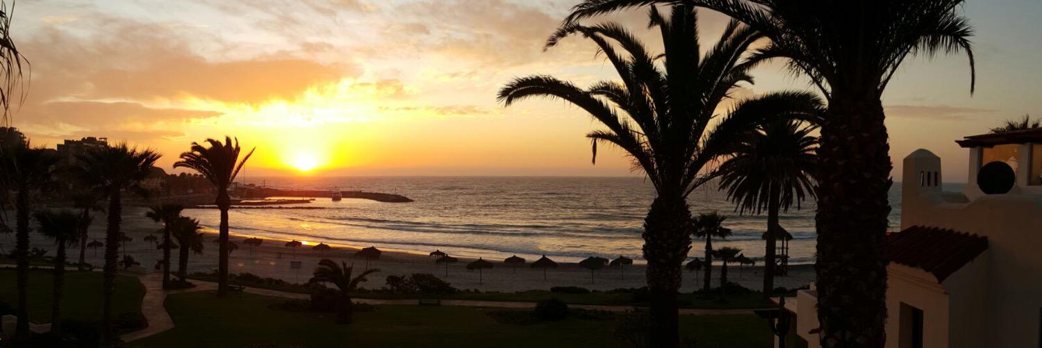 Cami_Urrea's profile banner image