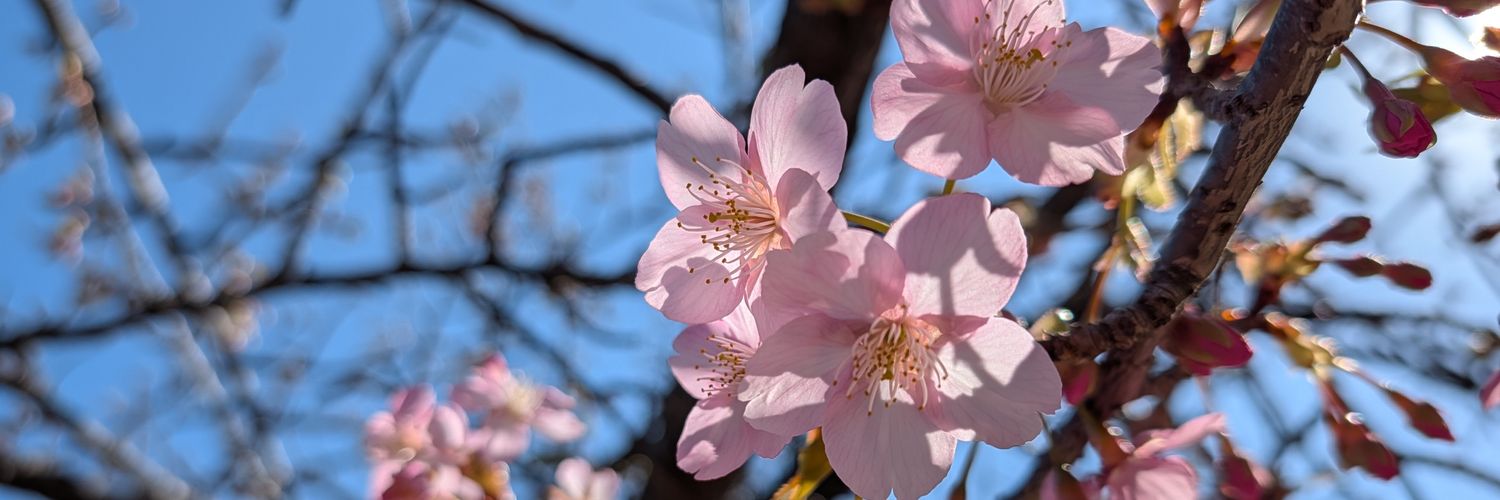 Ritzy2218's profile banner image