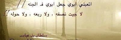 سلمان ابن رده banner