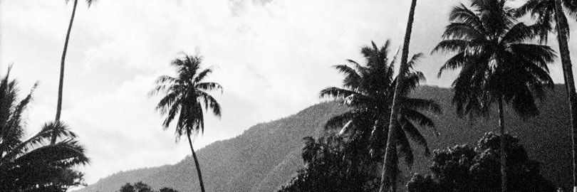 madiekeiser's profile banner image