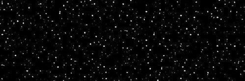 solr__1's profile banner image