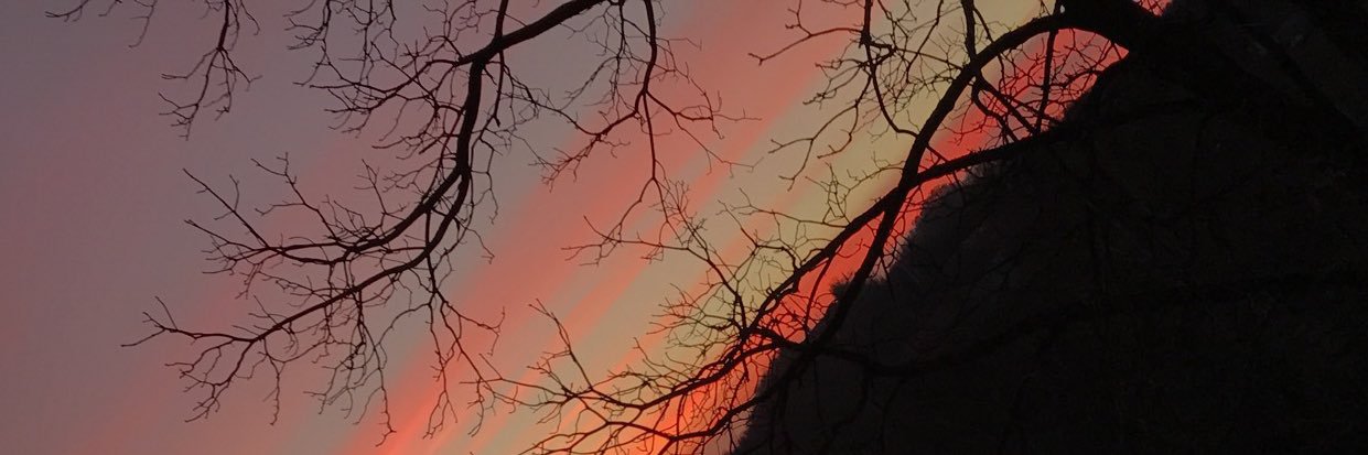 AndrewLemasters's profile banner image