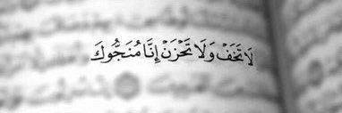 Nada_Hasham's profile banner image