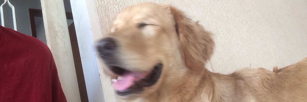 Drebr07's profile banner image