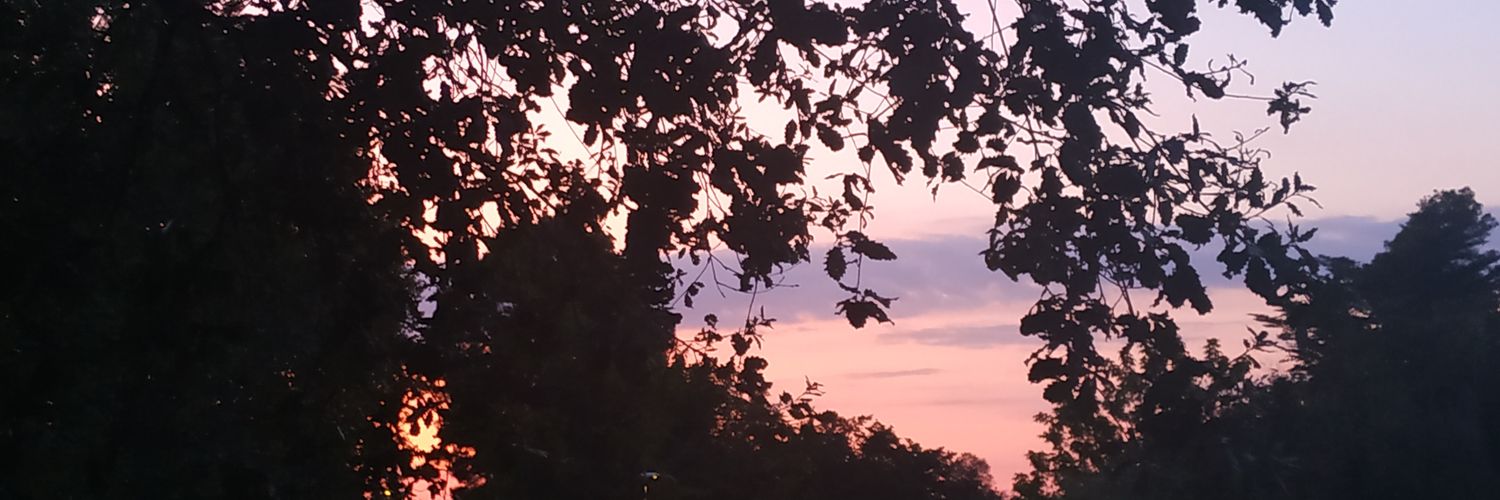 Eoliver158's profile banner image