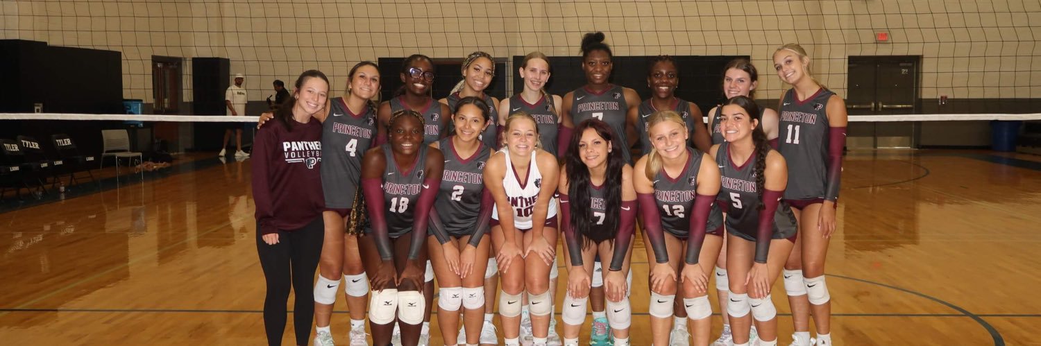 Princeton Volleyball banner