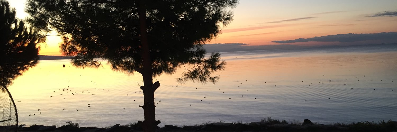 Tufankerse's profile banner image