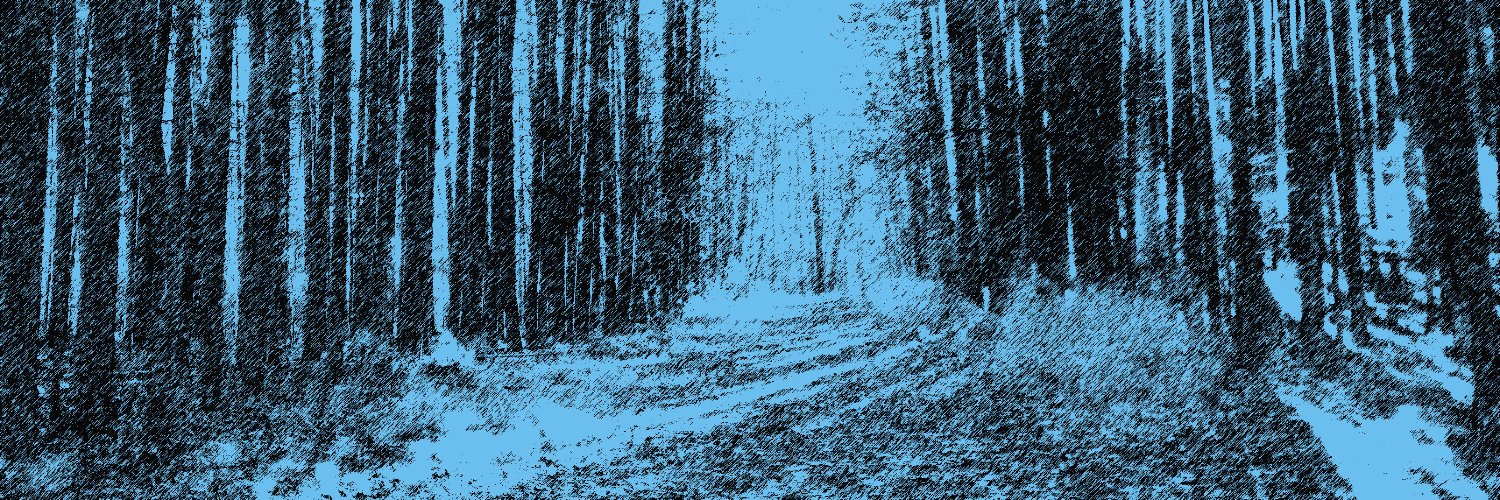 flashhess's profile banner image