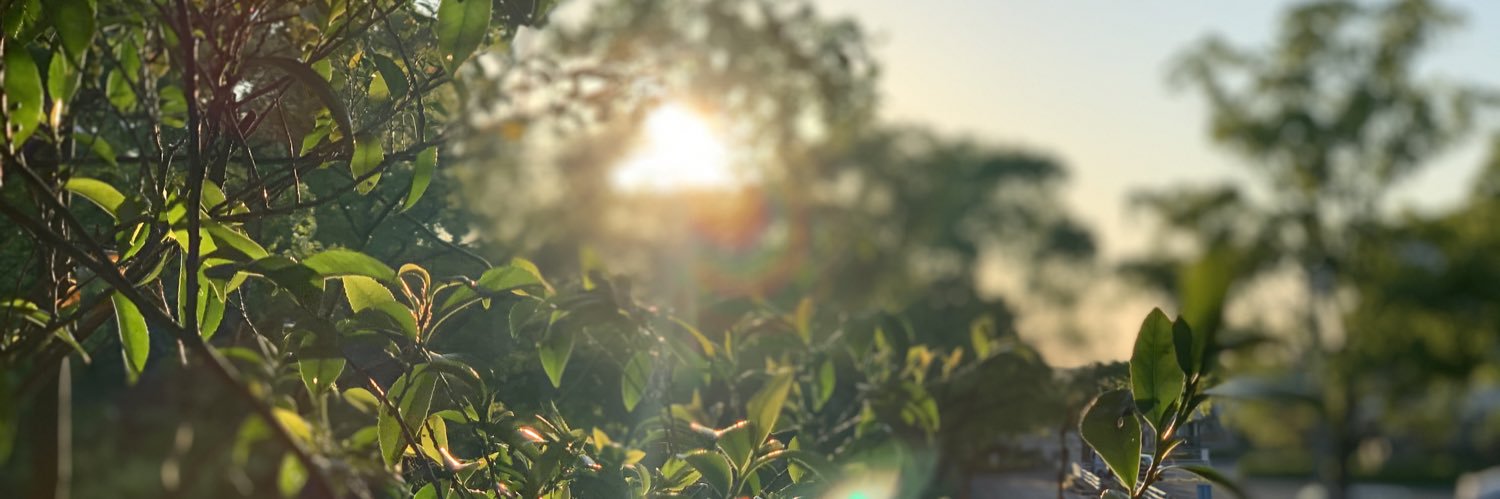 kimchi7032's profile banner image