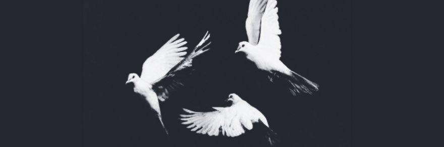 A__bb123's profile banner image