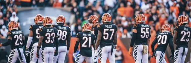 BanditandDuke banner
