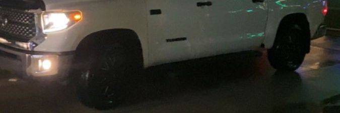Raman banner