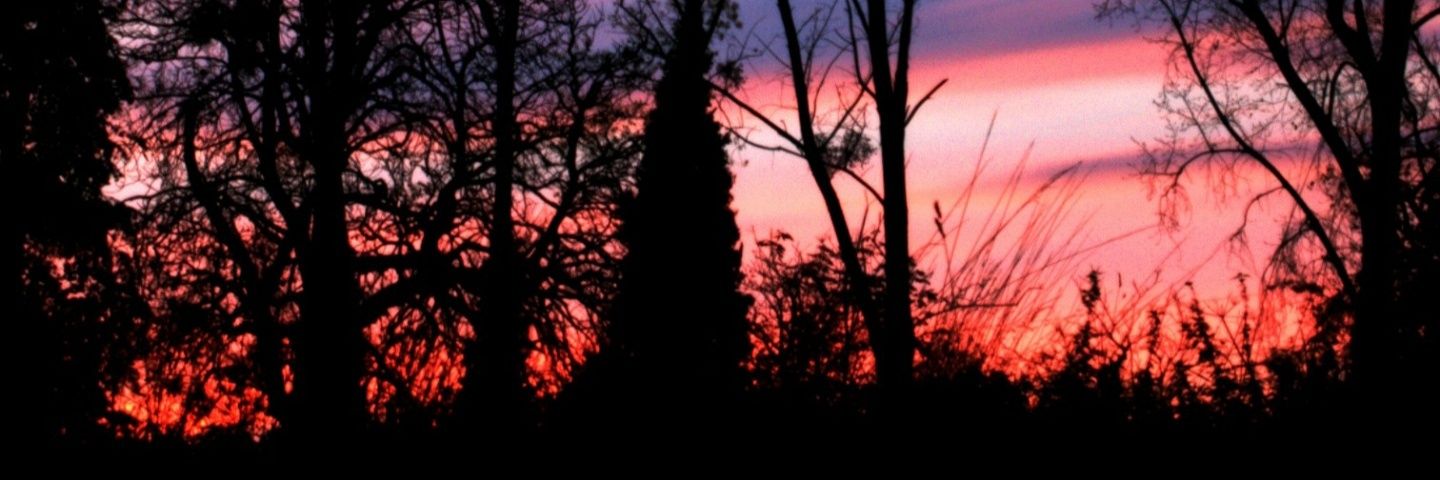 PhillCrisp's profile banner image