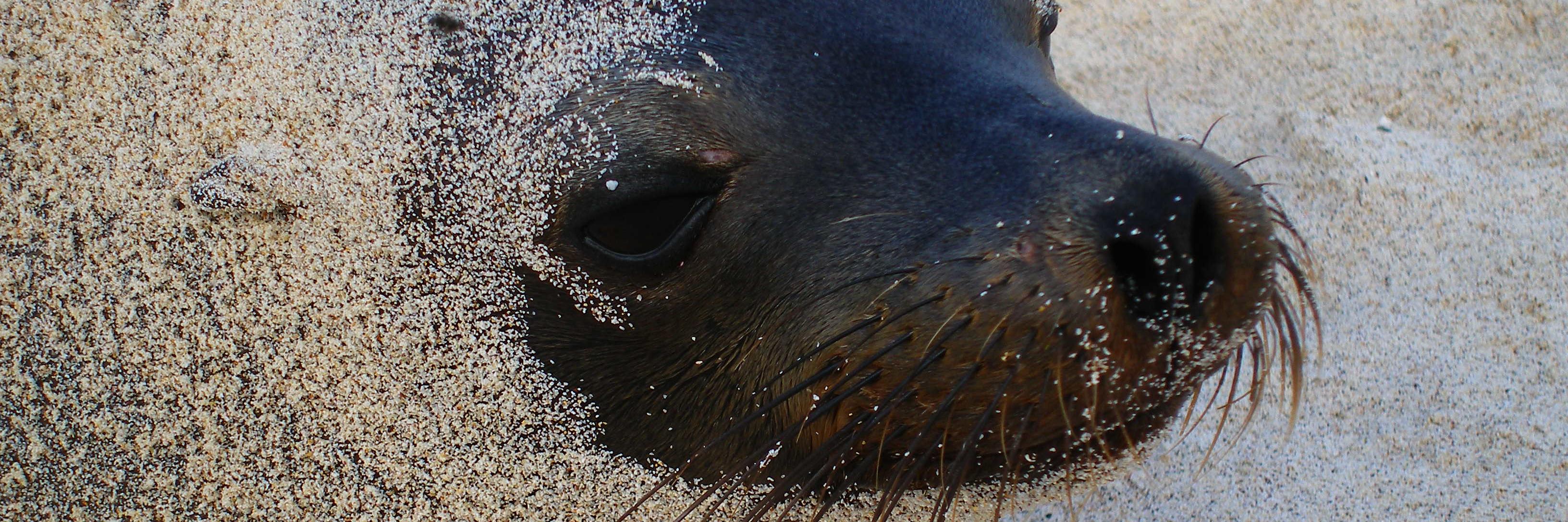JenniGrossmann's profile banner image