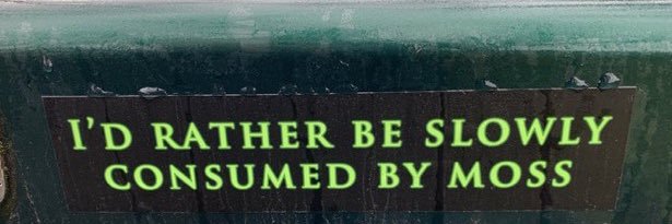 caileyrobs's profile banner image