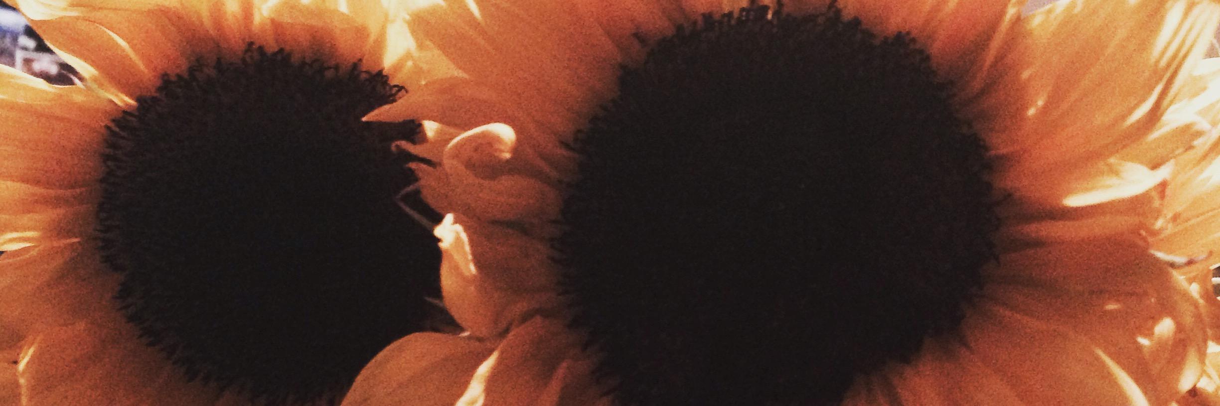 mshartleys's profile banner image