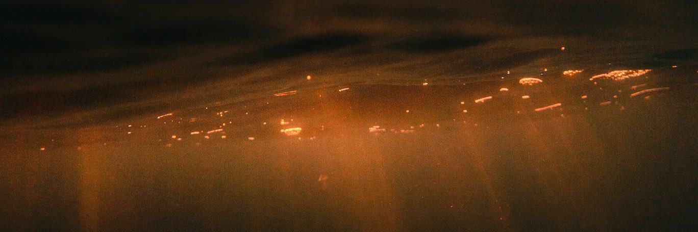 DirectedByDale banner