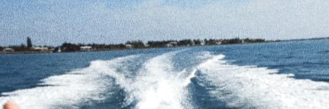 ChaFriendlyDaws's profile banner image