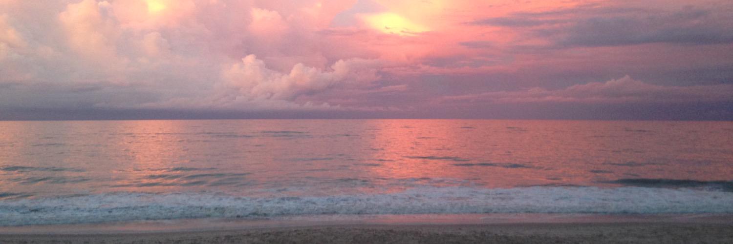 meglee154's profile banner image