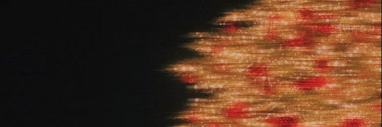 TTREXxEA's profile banner image
