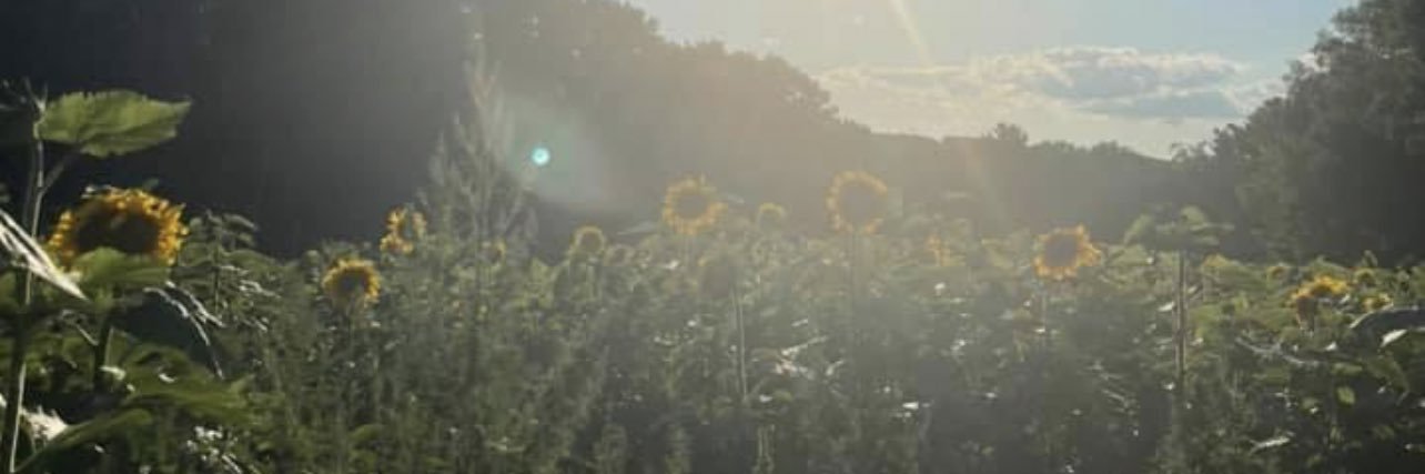 lilmaddy95's profile banner image