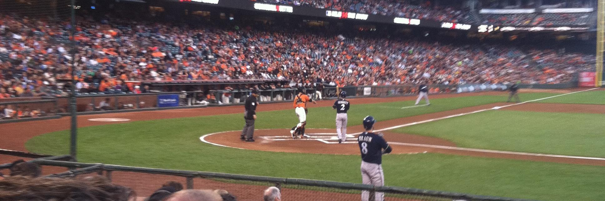 Steven Birenbaum banner