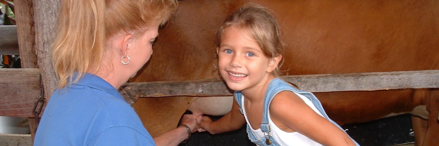 katietchambers's profile banner image