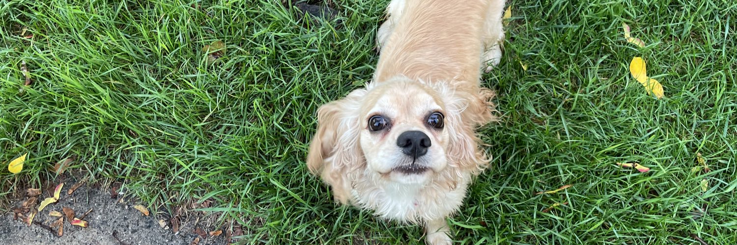 KillaKea's profile banner image