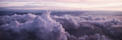 weedandaaron's profile banner image
