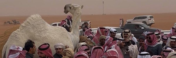 NdaMutairi Profile Banner