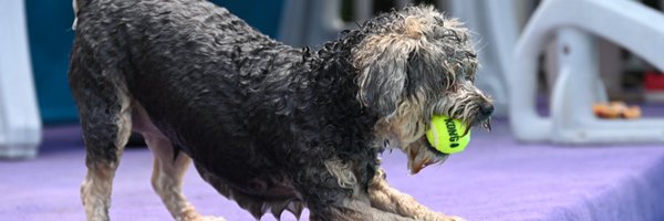 a11Igot Profile Banner