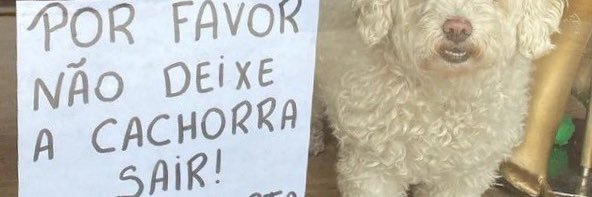 GFRO_'s profile banner image