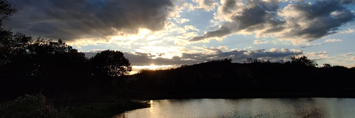 aliceps29's profile banner image