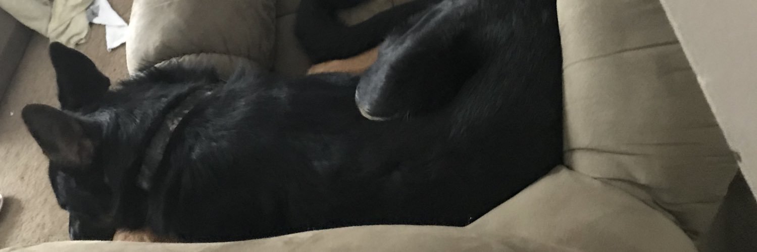 Steven McMurphy banner