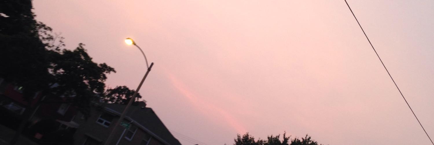 MeghanRozema's profile banner image
