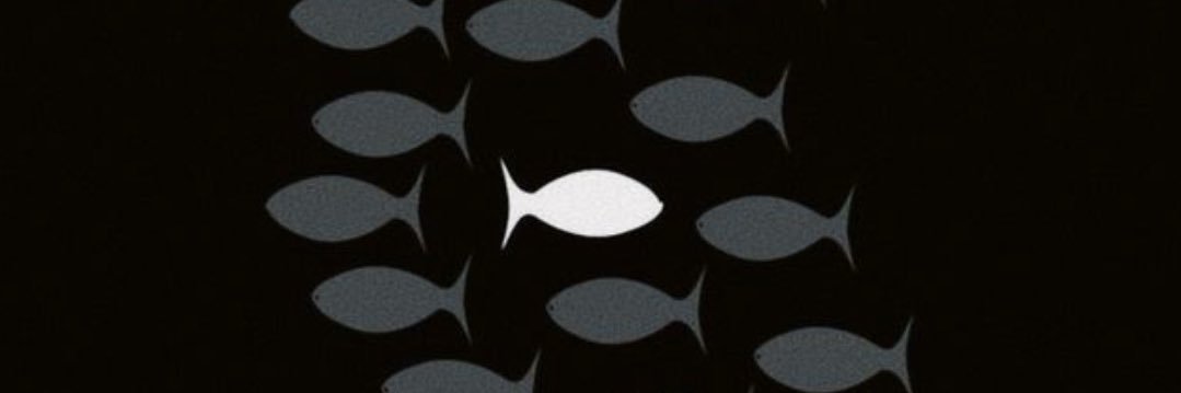 ana_bertoglio's profile banner image