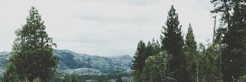 Follow_DMs12's profile banner image